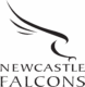Newcastle Falcons