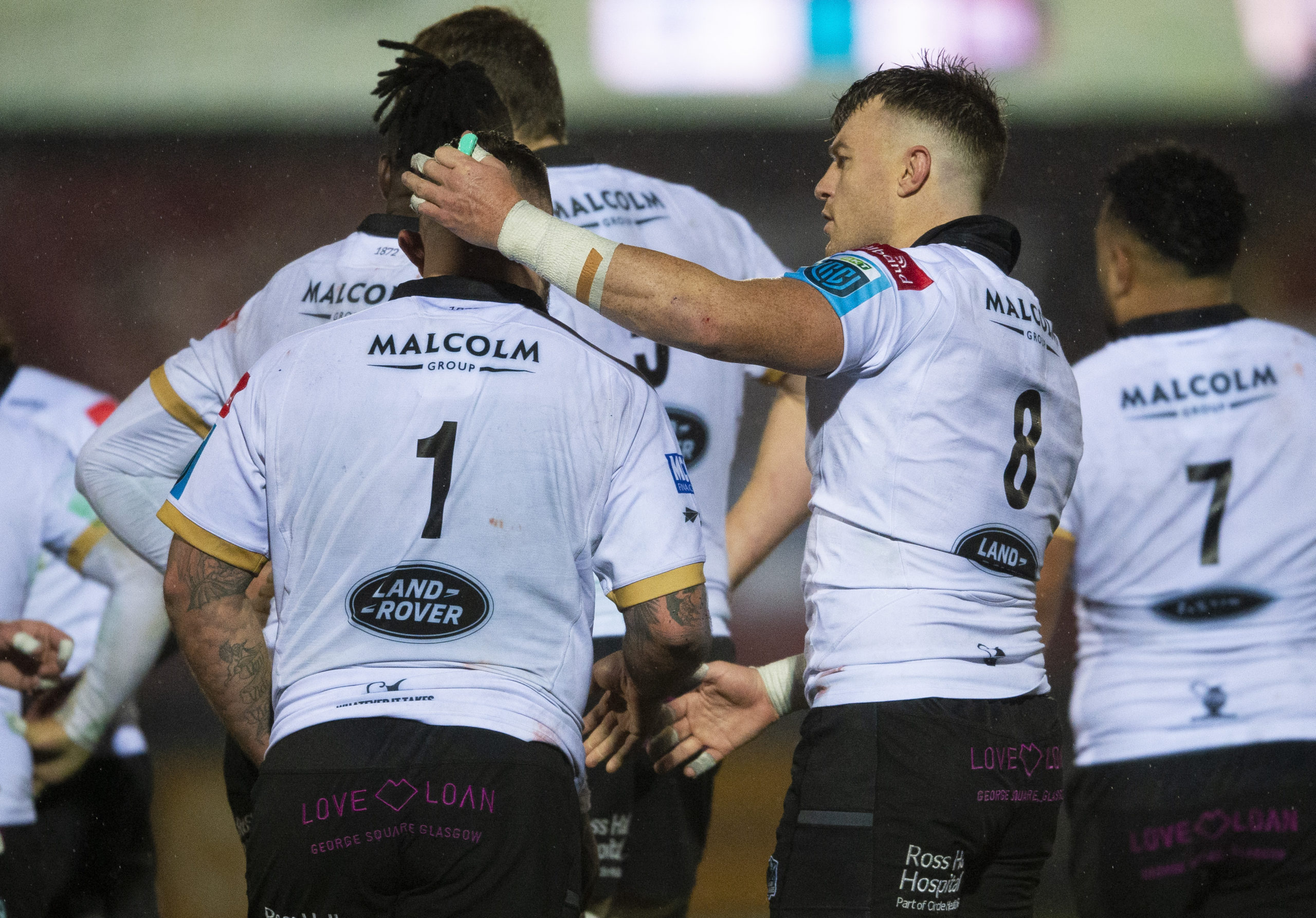 Match Preview | DHL Stormers | Sunday 8 January - Glasgow Warriors