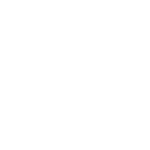 logo zebre parma monocromatico bianco negativo