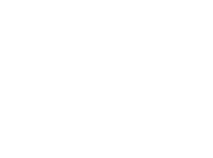 Sale Sharkswhite