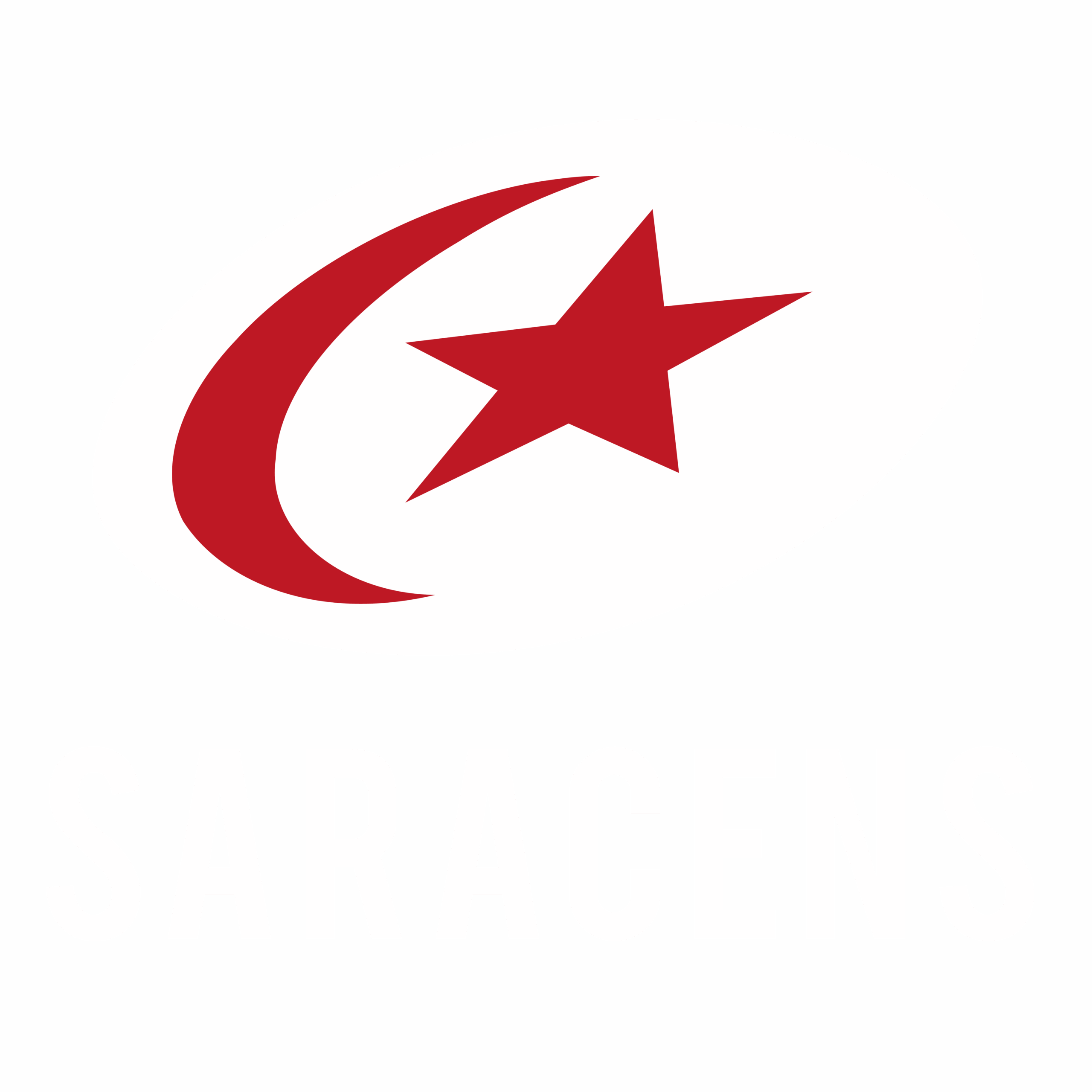 Saracens_Logo Light