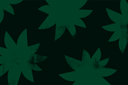 URC_Pattern_Benetton-01