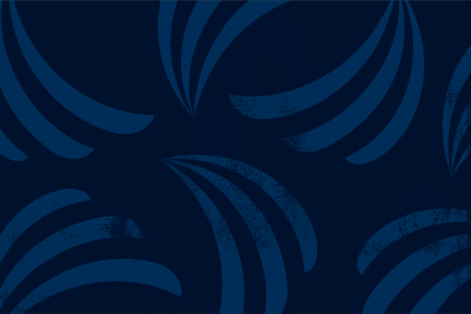 URC_Pattern_Leinster-01